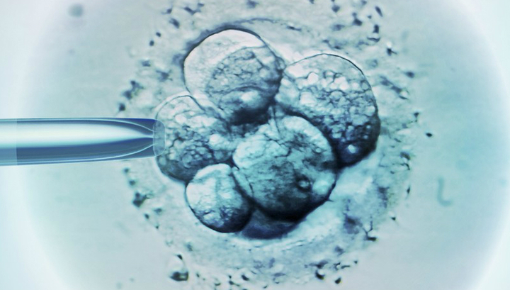 Британским ученым разрешили редактировать человеческие эмбрионы