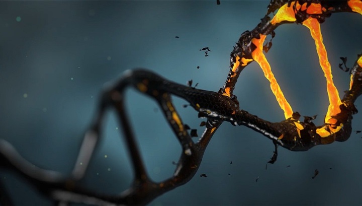 CRISPR в деле: процесс редактирования гена впервые засняли на видео