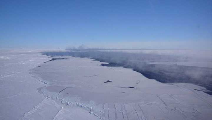 В Антарктиде образовалась полынья размером в две Московских области