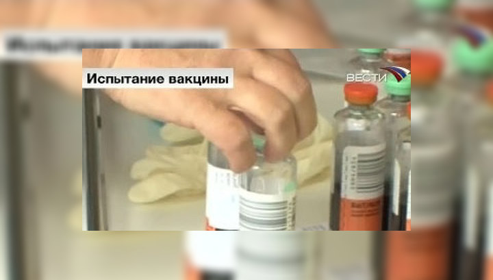 Вести.Ru: В Петербурге начинаются испытания вакцины от "свиного гриппа"