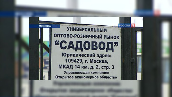 Людмила Матвеева ВКонтакте Бузина черная: посадка и уход