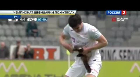 К Чему Снится Куница Укусила К Чему Снится Куница Укусила
