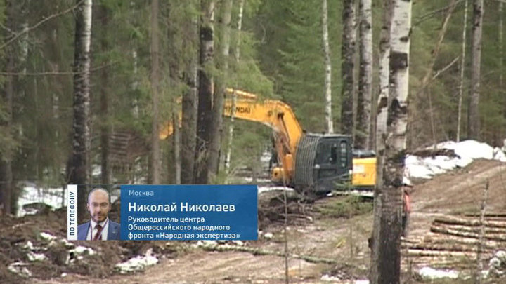 Как сделать лес чистым Как сделать лес чистым