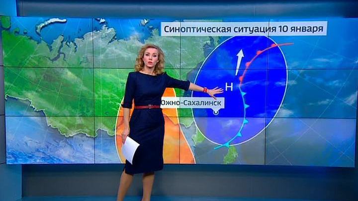Прогноз путины на сахалине в 2018 Прогноз путины на сахалине в 2018