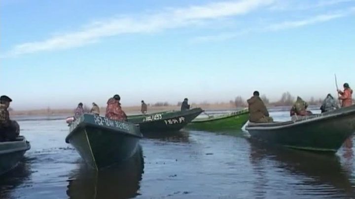 много лодки много лодки