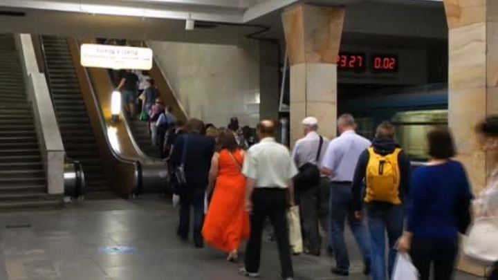 одежда для крыс купить на зиму