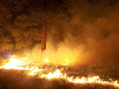 Поджигателей амурских лесов выслеживают беспилотники