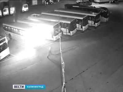 В Советске полиция ищет поджигателя пассажирских автобусов