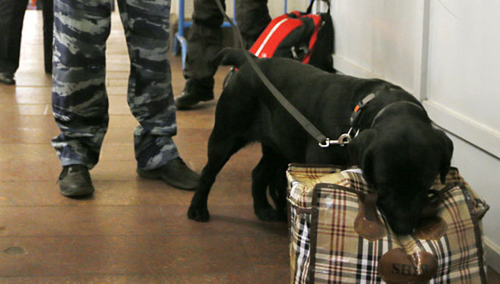 Угрозы взрыва на московских вокзалах оказались ложными