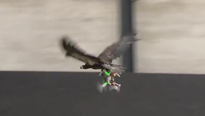 перехват беспилотников