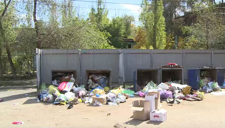 фото убитой девочки в волгограде онлайн фото убитой девочки в волгограде