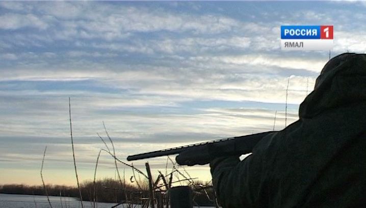 Ямал ненцы охота рыбалка. Охотники ямала. Ханты ненцы селькупы. Охотники ямала. Охотники ямала.