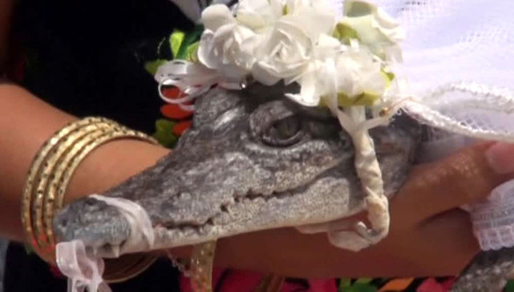 Картинки по запросу Мэр мексиканского города женился на крокодиле