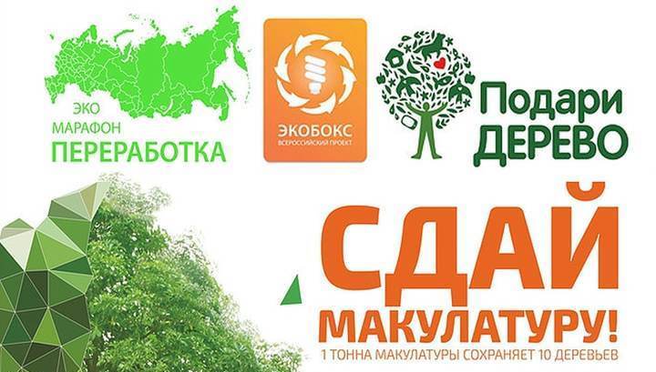 Сколько надо собрать макулатуры чтобы спасти 1 дерево покупка макулатуры в калининграде