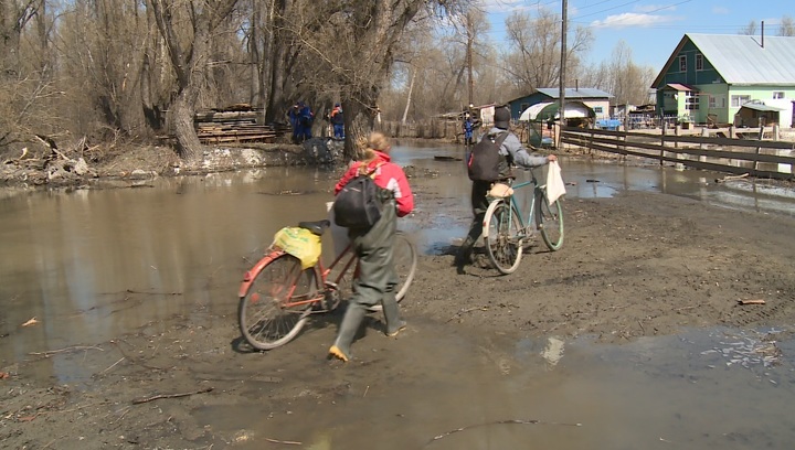 Уровень воды в чарыше на сегодня