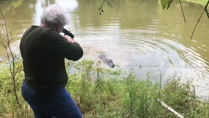 Расправу мэра техасского города над утащившим ее пони крокодилом сняли на видео