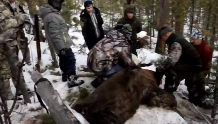 В Интернете собирают голоса за отставку иркутского губернатора, убившего медведя