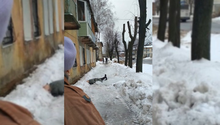 Сорвавшаяся с крыши глыба льда убила пенсионерку в Подмосковье
