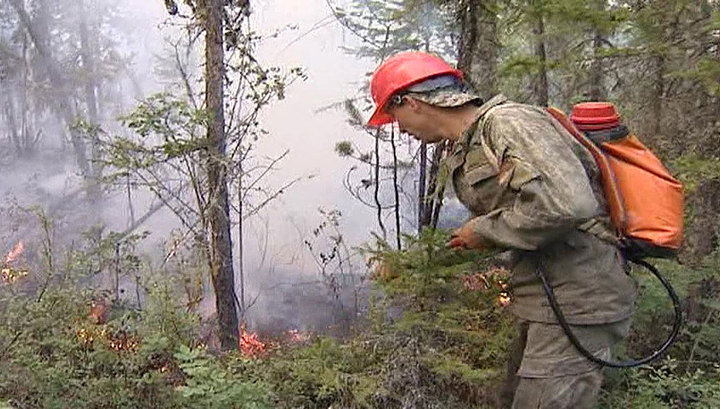 За сутки лесные пожары охватили еще 11 тысяч гектаров