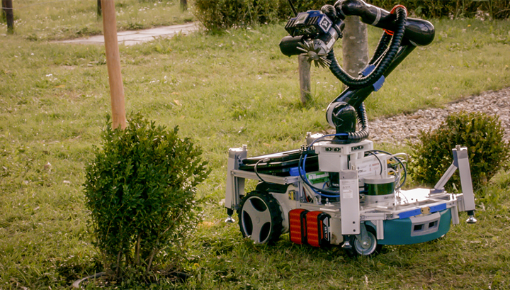 Новый робот сам решит, когда и как подровнять кустарники