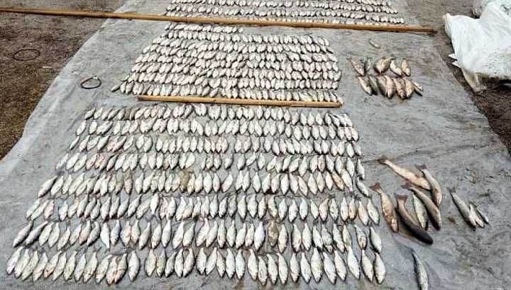 На Кубани запретили ловить рыбу до 1 мая