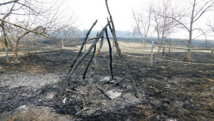 Причины пожара в заповеднике "Дивногорье" установит Лискинская прокуратура