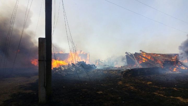 Предварительная причина пожара во владимирской деревне - умышленный пал