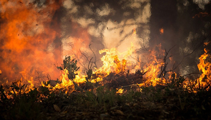 Амурские пожарные продолжают тушение леса в Сковородинском районе