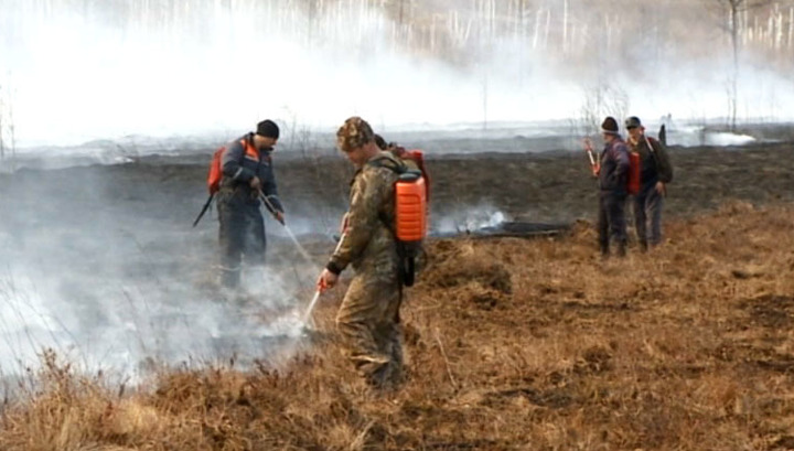 В Приамурье за сутки зафиксировано 9 природных пожаров