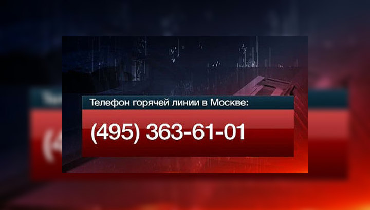 аэропорт домодедово горячая линия круглосуточная