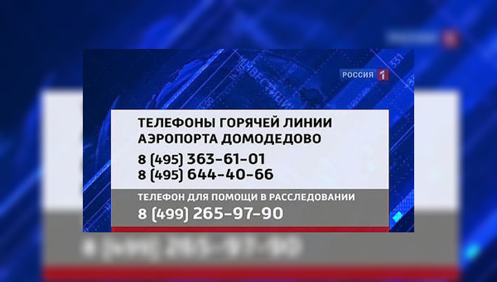 аэропорт домодедово горячая линия круглосуточная