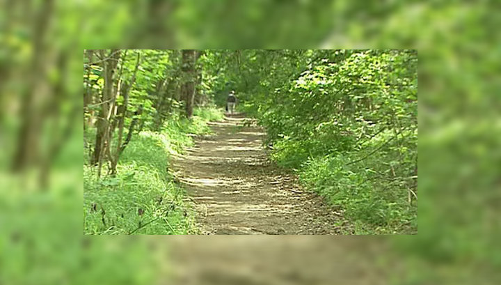 убийцы подростка в косино ухтомском. 13 летний парень. снимки девятилетнего мальчика. пропавшие без вести дети 2022. мальчик найден в парке.