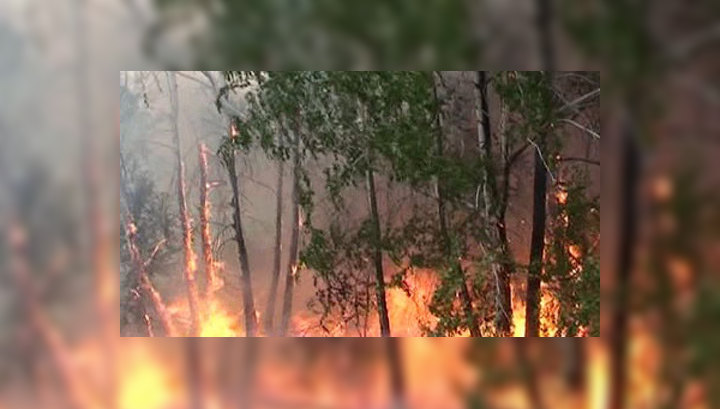 стоящая над лесами жара разогревала. к. лесные пожары в россии. стоящая над лесами жара разогревала. стоящая над лесами жара разогревала.