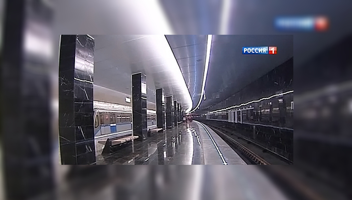Грибы Телеграм Домодедово