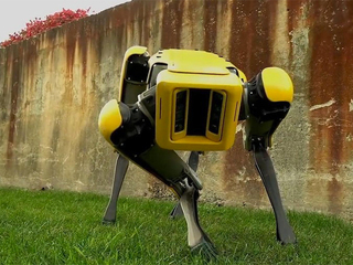 Робопса Boston Dynamics уволили из нью-йоркской полиции