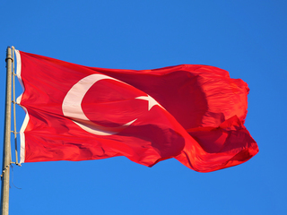 Политолог порассуждал о возможном предательстве Турции