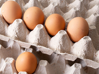 Минпромторг: ценовые соглашения по мясу и яйцам возможны при резком росте цен