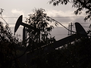 Жажда наживы побеждает страх: судьба рубля в руках нефти