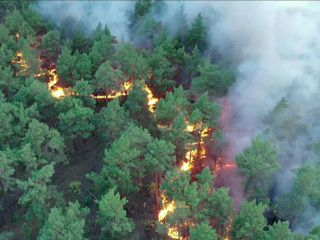На перевале Дятлова локализован крупный лесной пожар