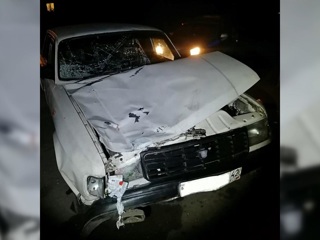 Пьяный водитель без прав насмерть сбил двух пешеходов в Кузбассе