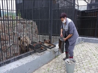 В "Роеаом ручье" уже 19 лет работает "медвежья бабушка"