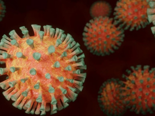 Где 48 жителей Самарской области заболели коронавирусом