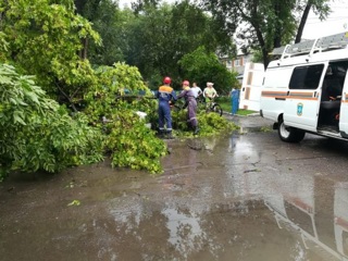 Дерево рухнуло на автомобиль во время шквалистого ветра в Спасске-Дальнем