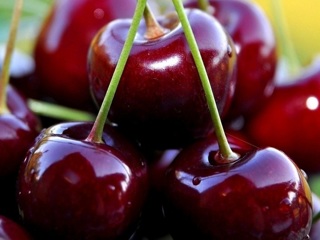 Гиганты с десертным вкусом. Уральские ученые вывели новые сорта ягод