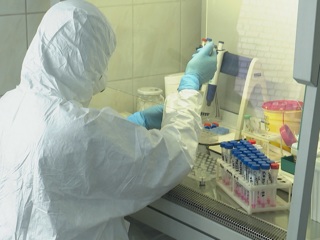 В Калининграде выявили коронавирус у приехавшего из Новокузнецка