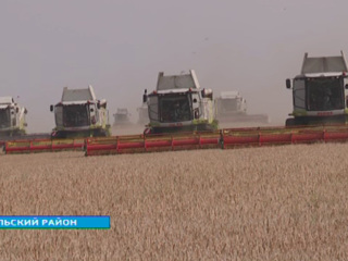 417 тысяч гектаров зерновых предстоит убрать на полях Иркутской области в этом году