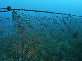 Биоразлагаемые рыбацкие сети начнут разрабатывать учёные в Иркутской области