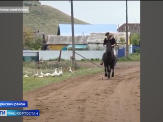 Новые меры господдержки сельхозпроизводителей, юбилей Русского географического общества и собака верхом на лошади