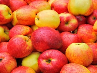 Более 250 тонн яблок завезли в Новосибирскую область с начала августа