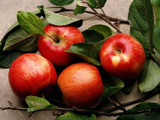 Топ-5 самых вкусных сортов яблок